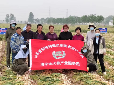 科技赋能“金蒜盘” 山东科技特派员服务团赴金乡开展大蒜产业调研与技术服务